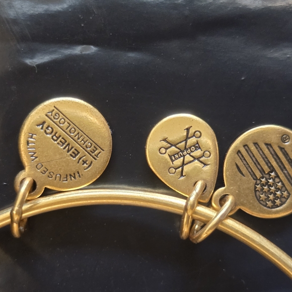 Alex and Ani Gold Charm Bracelet New - Picture 2 of 6